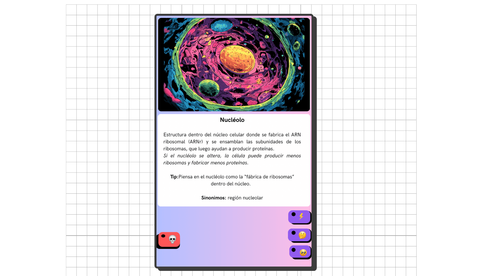 Tarjetas para memorización espaciada